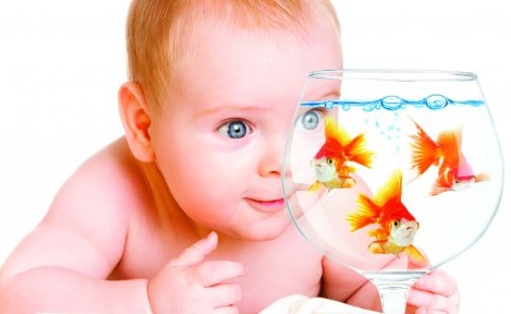 Çocuklar İçin Hangi Balıklar Tercih Edilmeli?
