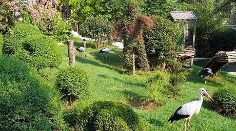 Darıca Faruk Yalçın Hayvanat Bahçesi ve Botanik Parkı