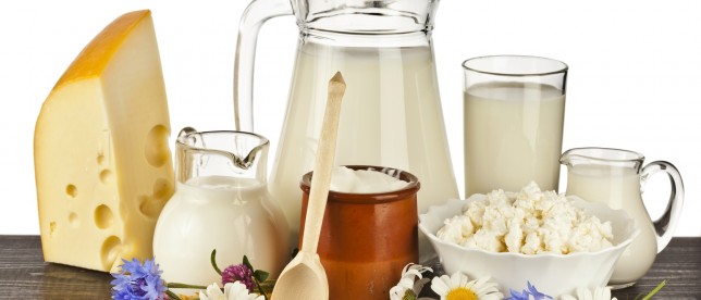 KALSİYUM KAYNAKLARI
