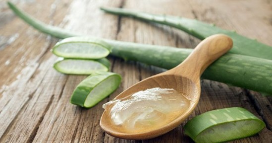 Aloe Vera Suyunun Sağlığa Faydaları Ve Yapılışı Resimli Anlatım