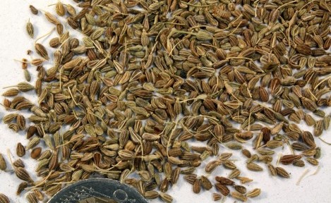 Anasonun Faydaları