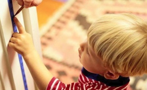 Büyüme Hızını Etkileyen Faktörler