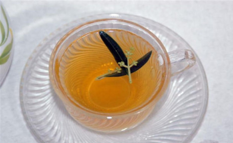 Gribe Karşı Zeytin Yaprağı Çayı ile Korunun