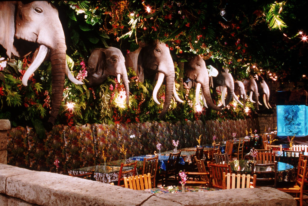 Rainforest Cafe İstinye Park