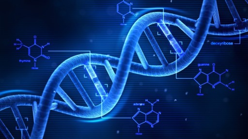 DNA’nın Kodları Hastalıkları Ortaya Çıkarıyor