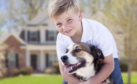 Çocuklar Köpeklerden Nasıl Korunabilir?