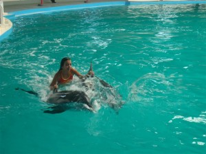dolphinariumistanbul1