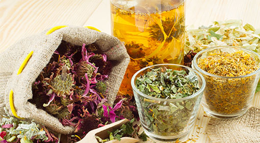 Fitoterapi Nedir?