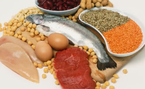 Protein Açısından Zengin Besinler