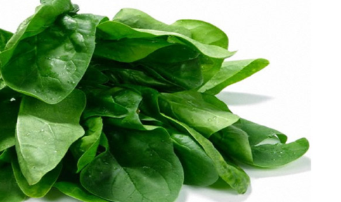 Ispanak Vitamin Saçıyor!