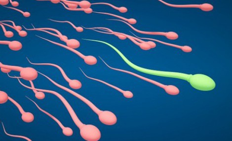 Çocuk Sahibi Olmak İçin Sperm Sayısı Kaç Olmalıdır?