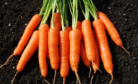 A Vitamini Gribe Karşı Koruyor