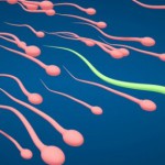 Çocuk Sahibi Olmak İçin Sperm Sayısı Kaç Olmalıdır?