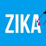 Zika Virüsü Ev Sineklerinde de Tespit Edildi